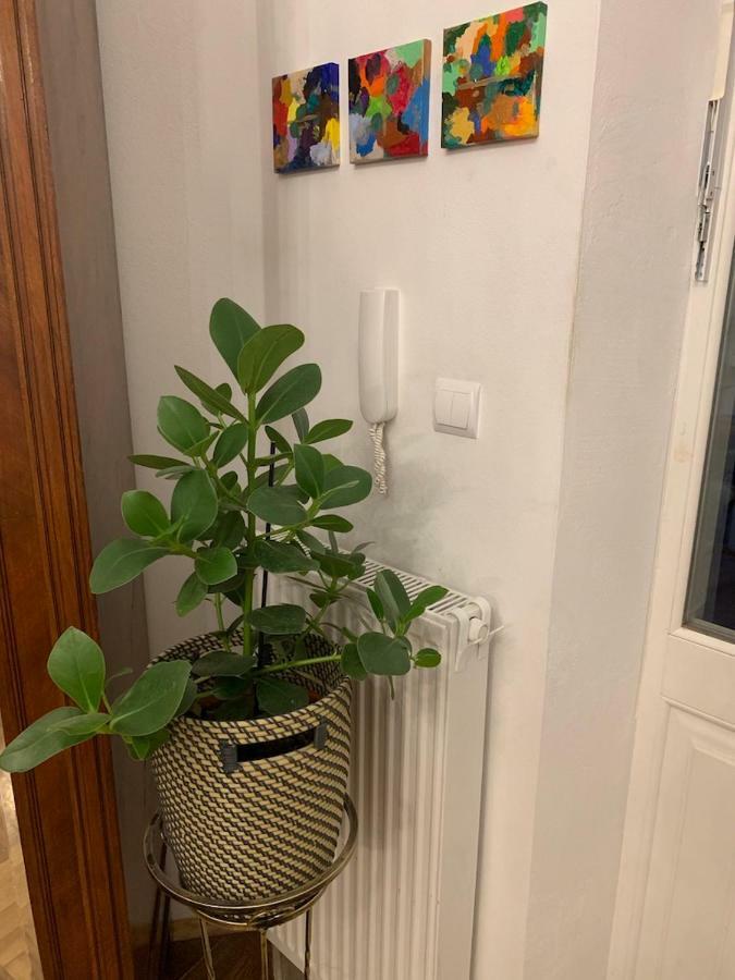 Charming Studio Apartment In The Heart Of The Jewish District! Kraków Exteriör bild